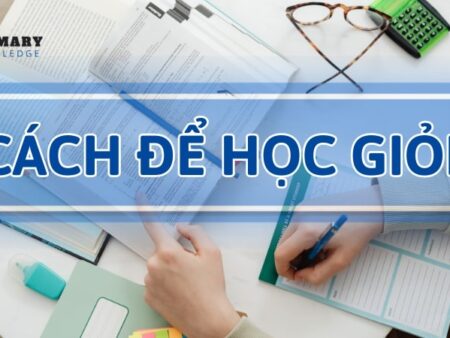 Bật mí 05 cách để học giỏi toàn diện tất cả các môn