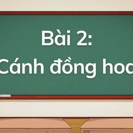 Bài 2: Cánh đồng hoa – Tiếng Việt Lớp 5 Tập 1 Kết Nối Tri Thức