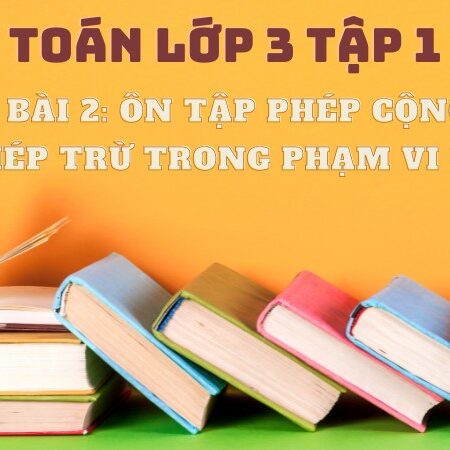 Bài 2: Ôn tập phép cộng, phép trừ trong phạm vi 1000 – Toán Lớp 3 Tập 1 Kết Nối Tri Thức