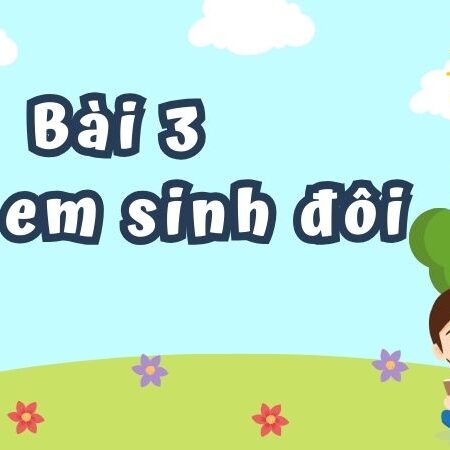 Bài 3: Anh em sinh đôi – Tiếng Việt Lớp 4 Tập 1 Kết Nối Tri Thức