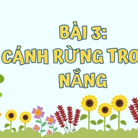 Bài 3: Cánh rừng trong nắng – Tiếng Việt Lớp 3 Tập 1 Kết Nối Tri Thức