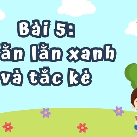 Bài 5: Thằn lằn xanh và tắc kè – Tiếng Việt Lớp 4 Tập 1 Kết Nối Tri Thức