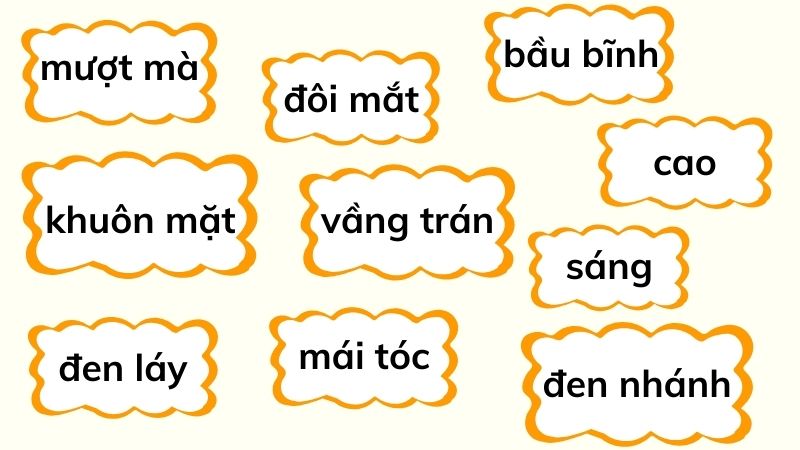 Câu 1: Những từ ngữ nào dưới đây chỉ đặc điểm? 