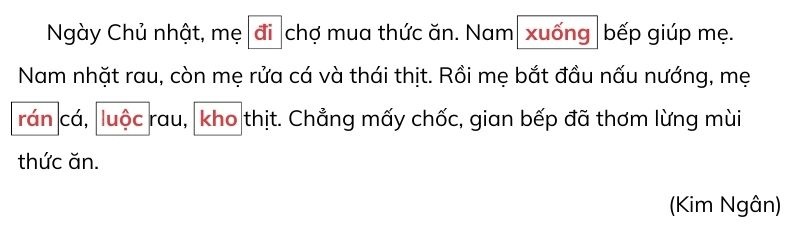 Câu 3: Chọn từ ở bài tập 2 thay cho ô vuông để hoàn thành các câu nêu hoạt động trong đoạn văn. trả lời