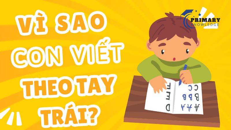 Vì sao con viết theo tay trái? Làm gì khi trẻ viết tay trái?