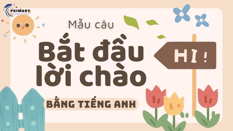 Mẫu câu bắt đầu lời chào bằng tiếng Anh