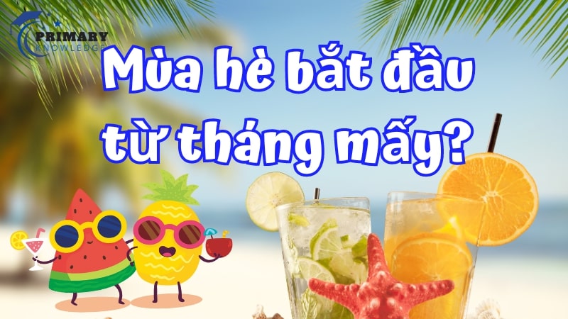 Mùa hè bắt đầu từ tháng mấy? Những hoạt động vui chơi cho trẻ