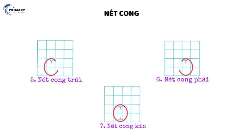 Nét cong