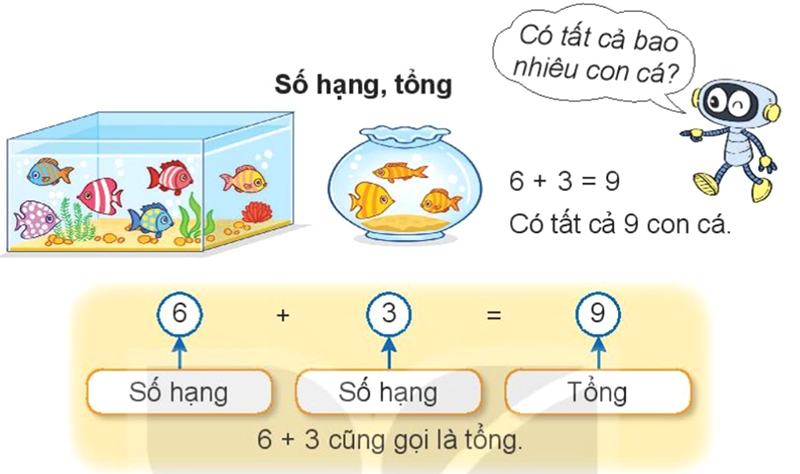 Số hạng, tổng