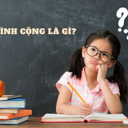 Trung bình cộng là gì? Các dạng bài tập về số trung bình cộng