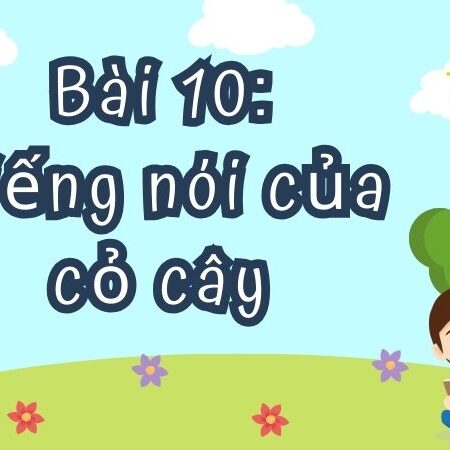 Bài 10: Tiếng nói của cỏ cây – Tiếng Việt Lớp 4 Tập 1 Kết Nối Tri Thức