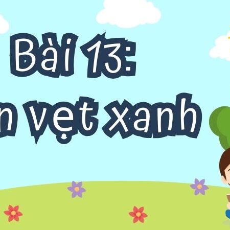 Bài 13: Con vẹt xanh – Tiếng Việt Lớp 4 Tập 1 Kết Nối Tri Thức