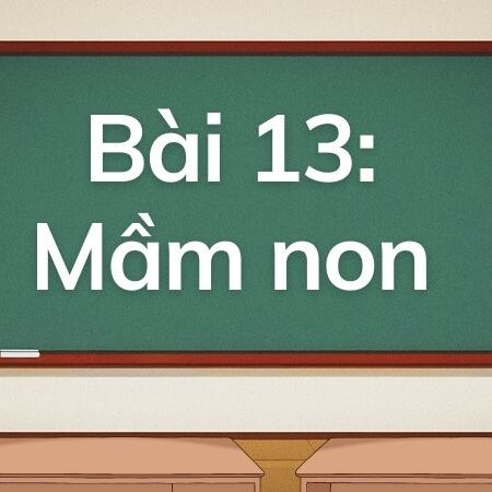 Bài 13: Mầm non – Tiếng Việt Lớp 5 Tập 1 Kết Nối Tri Thức