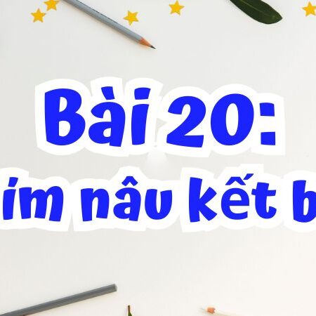 Bài 20: Nhím nâu kết bạn – Tiếng Việt Lớp 2 Tập 1 Kết Nối Tri Thức