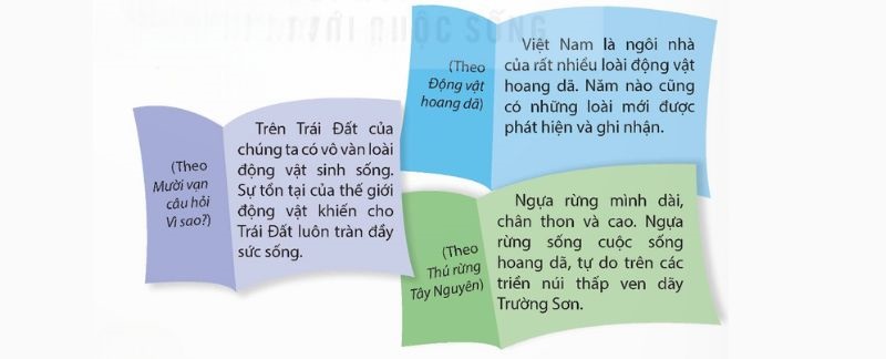 Câu 1 trang 54 sgk Tiếng Việt lớp 5 Tập 1