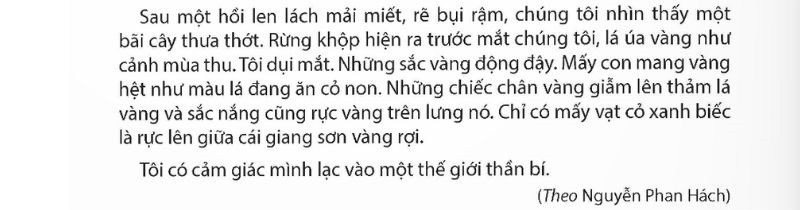 Câu 2: Đọc Bài 10: Kì diệu rừng xanh 2