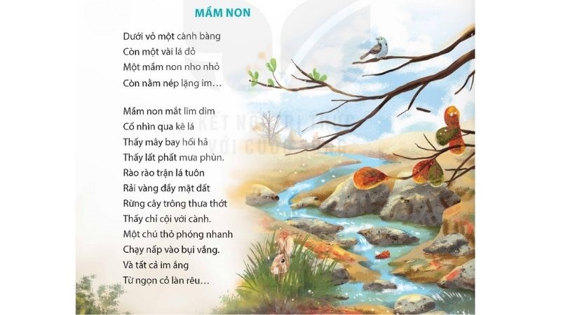 Câu 2: Đọc Bài 13: Mầm non