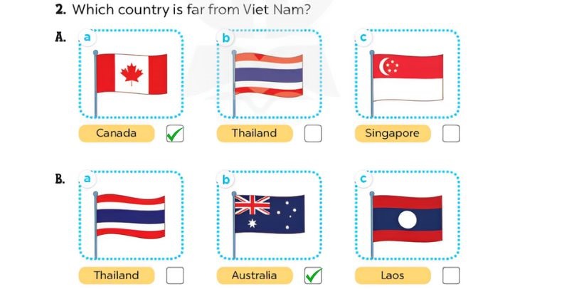 câu 2 Read the questions. Then tick the answers Extension activities answer