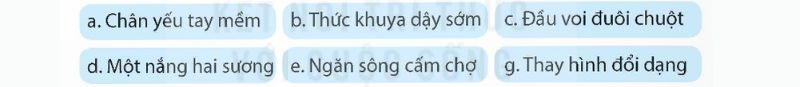 Câu 3: Những thành ngữ nào dưới đây chứa các từ đồng nghĩa? Đó là những từ nào?