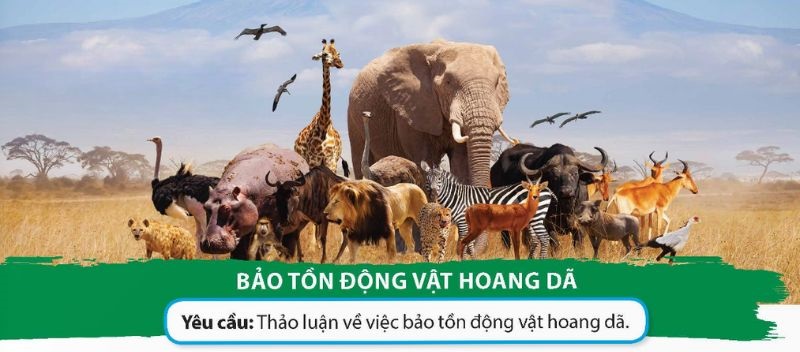 Nói và nghe bài 12 Tiếng Việt lớp 5 Tập 1 1