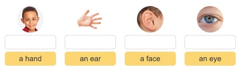 Task 2. Unit 4 lớp 3 Lesson 1: Listen, point and say