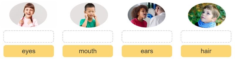 Task 2. Unit 4 lớp 3 Lesson 2: Listen, point and say