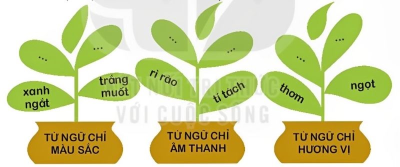 Câu 2: Tìm thêm các từ ngữ chỉ đặc điểm cho mỗi nhóm dưới đây và đặt câu với từ ngữ tìm được.