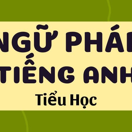 Tổng hợp ngữ pháp Tiếng Anh Tiểu học cần thiết cho bé