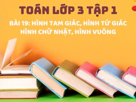 Bài 19: Hình tam giác, hình tứ giác. Hình chữ nhật, hình vuông