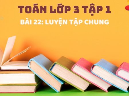 Bài 22: Luyện tập chung – Toán Lớp 3 Tập 1 Kết Nối Tri Thức