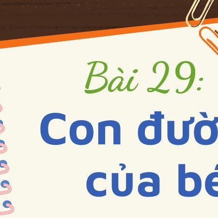 Bài 29: Ngôi nhà trong cỏ – Tiếng Việt Lớp 3 Tập 1 Kết Nối Tri Thức