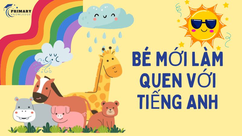 Bé mới tập làm quen với tiếng Anh thì nên học bao nhiêu từ mới mỗi ngày?