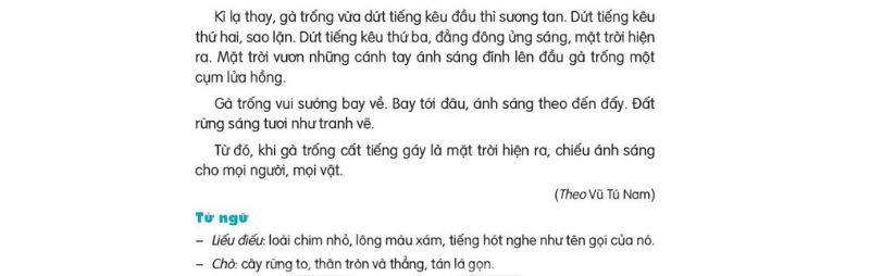 Câu 2: Đọc Bài 26: Đi tìm mặt trời 2