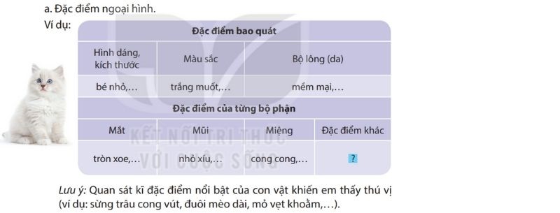 Câu 2 trang 116 Tiếng Việt lớp 4 Kết nối tri thức Tập 1 phần a