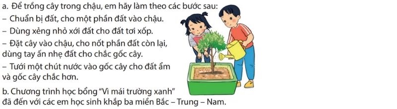 Câu 2 trang 120 Tiếng Việt lớp 4 Kết nối tri thức Tập 1