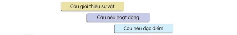 Câu 3 trang 102 Tiếng Việt 3 Tập 1 Kết nối tri thức