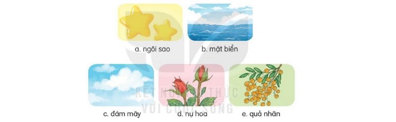 Câu 3 trang 113 Tiếng Việt 2 tập 1 Kết nối tri thức