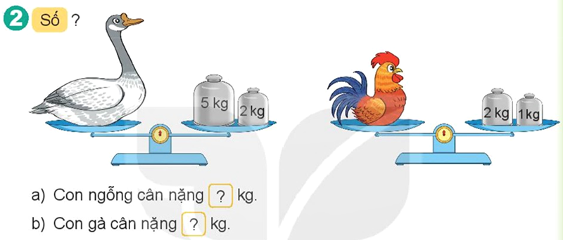 Bài số 8: Giải luyện tập câu 2 trang 61 SGK Toán 2 tập 1