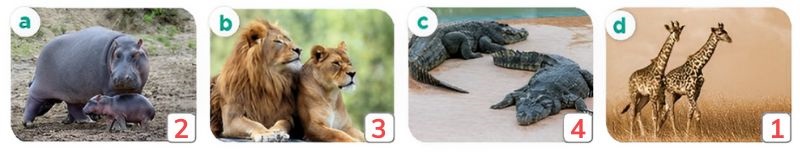 Listen and circle Lesson 1 Unit 19: The animal world answer