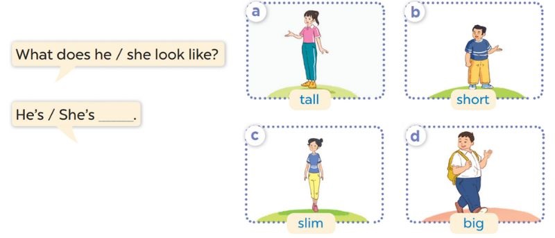 Listen, point and say Lesson 1 Unit 13: Appearance