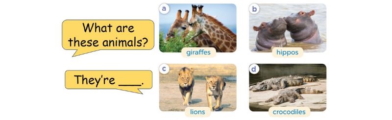 Listen, point and say Lesson 1 Unit 19: The animal world