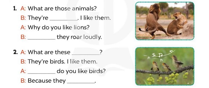 Look, complete and read Lesson 2 Unit 19: The animal world