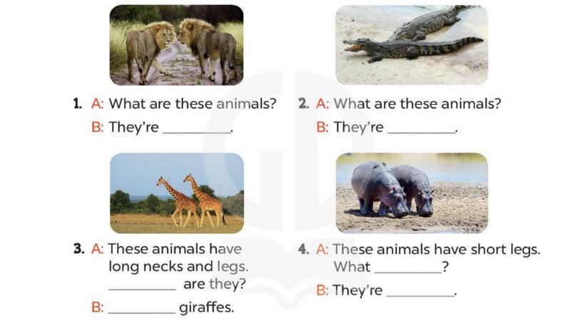 Look, complete and read Lesson 1 Unit 19: The animal world