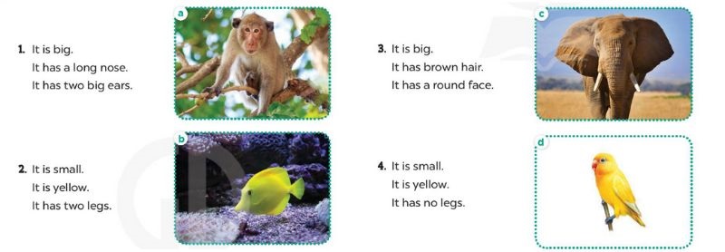 Read and match. Then say what the animals are Extension activities Review 3 Tiếng Anh lớp 4