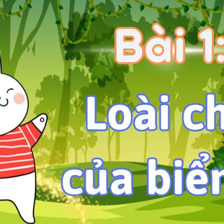 Bài 1: Loài chim của biển cả Tiếng Việt lớp 1 tập 2 Kết nối tri thức