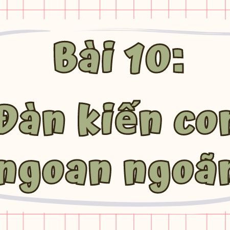 Bài 10: Đàn kiến con ngoan ngoãn Tiếng Việt lớp 1 tập 1 Kết nối tri thức