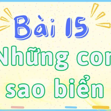 Bài 15: Những con sao biển – Tiếng Việt Lớp 2 tập 2 Kết Nối Tri Thức