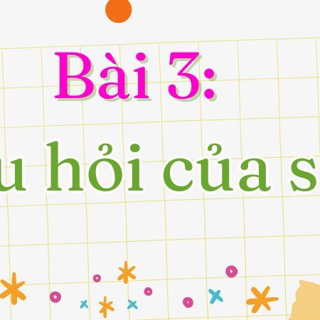 Bài 3: Câu hỏi của sói Tiếng Việt lớp 1 tập 2 Kết nối tri thức