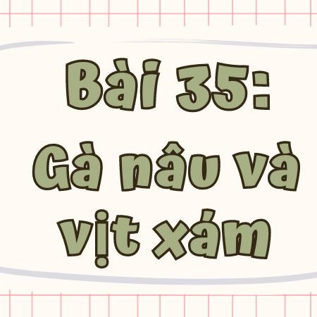 Bài 35: Gà nâu và vịt xám Tiếng Việt lớp 1 tập 1 Kết nối tri thức