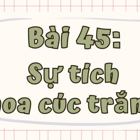 Bài 45: Sự tích hoa cúc trắng Tiếng Việt lớp 1 tập 1 Kết nối tri thức